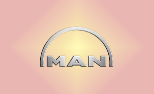 ✓ MAN 81.52185.6048 Запчасти МАН (MAN) 