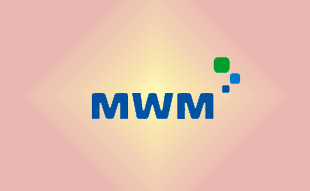 ✓ MWM 13022348 Кольца поршневые 